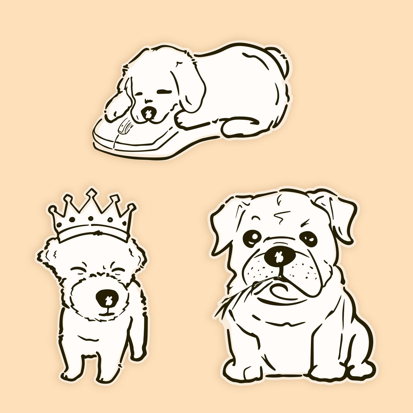 The Paw-sitivity Pack