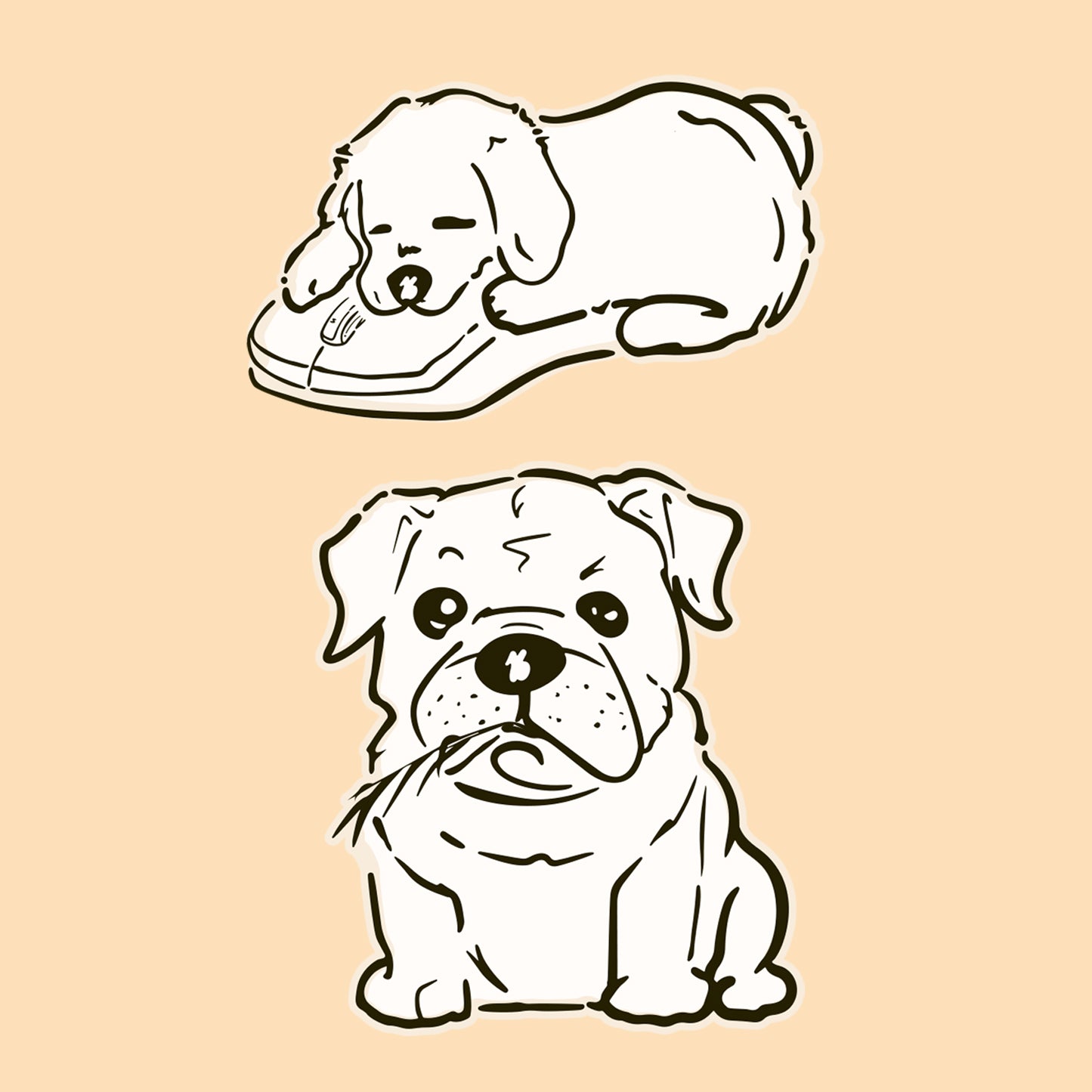 The Paw-sitivity, Power Nap Doodle & Sassy Bulldog